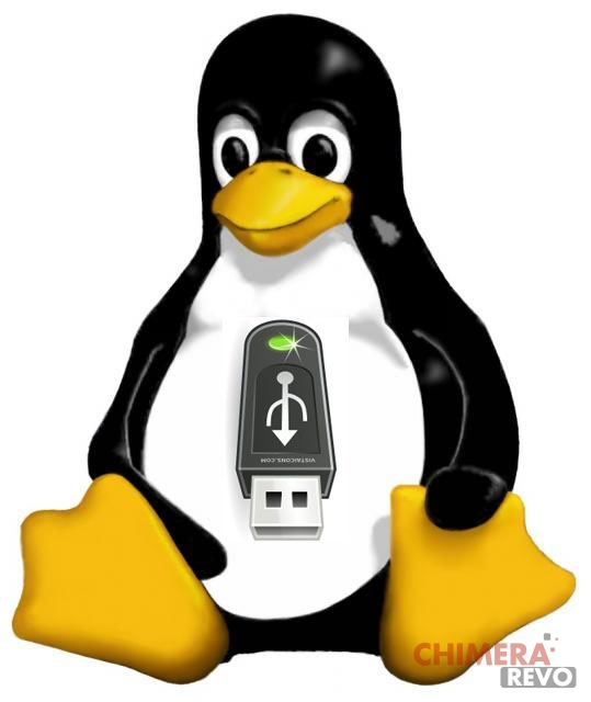 Linux Live Usb Install Software