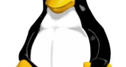 tux