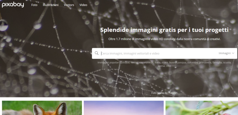 I Migliori Siti Dove Scaricare Immagini Senza Copyright - ChimeraRevo